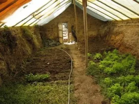 TAG Level - Winter Greenhouse - Walipini