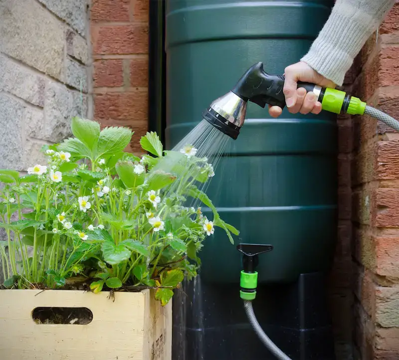 TAG Level - Rainwater Harvesting