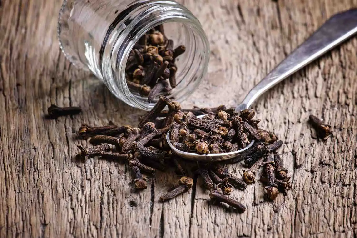 TAG Level - Mulled Wine - Cloves