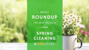 TAG Level - Spring Cleaning