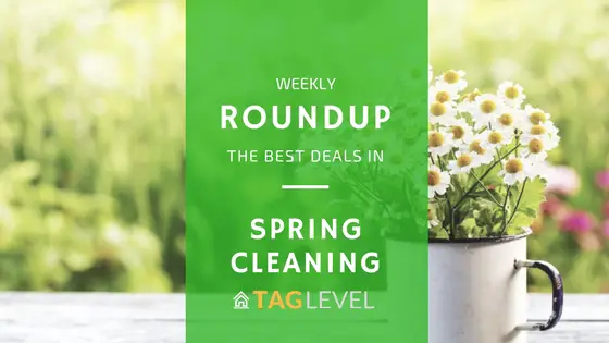TAG Level - Spring Cleaning