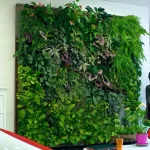 TAG Level - How to Grow a Vertical Garden