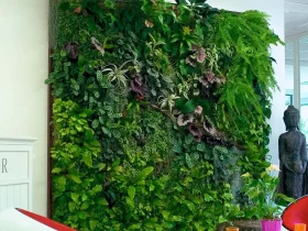 TAG Level - How to Grow a Vertical Garden