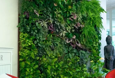 TAG Level - How to Grow a Vertical Garden