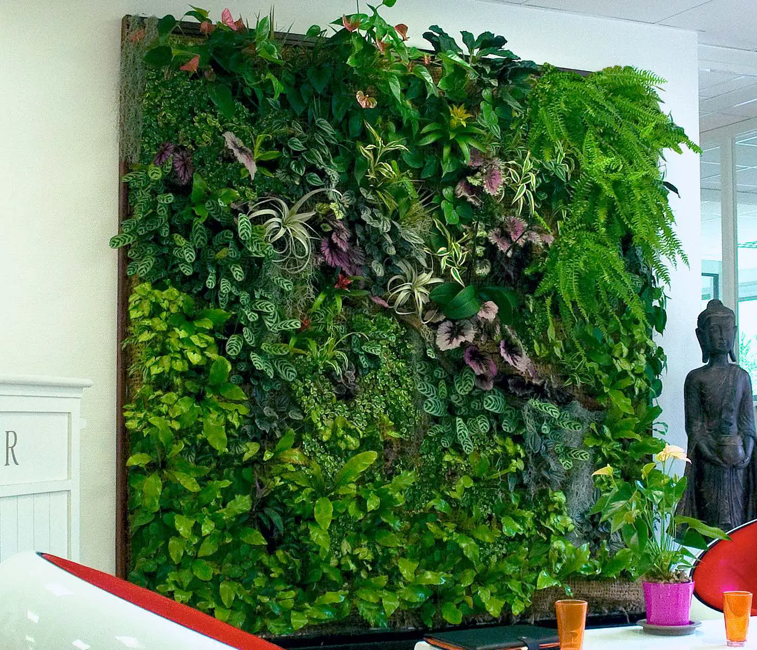 TAG Level - How to Grow a Vertical Garden