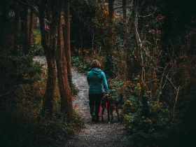 TAG Level - Manage Tick Bites for Dogs