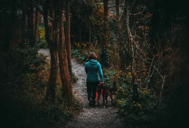 TAG Level - Manage Tick Bites for Dogs