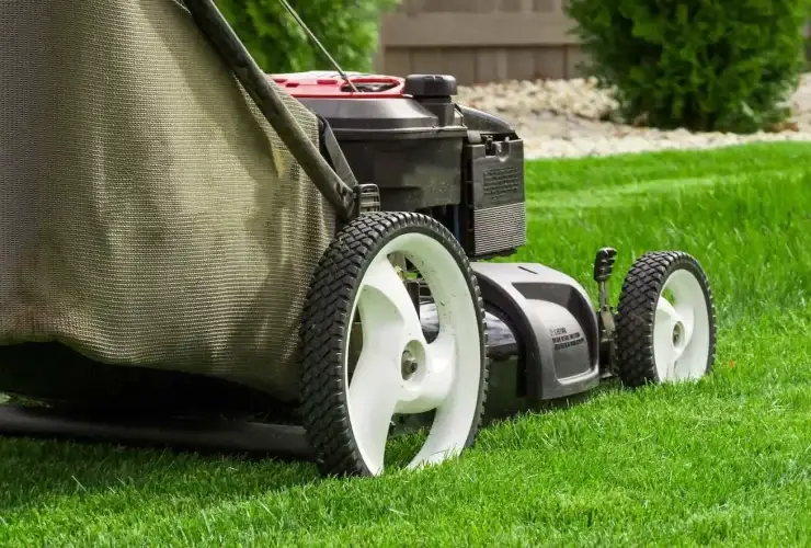 TAG Level - Lawn Mower Reviews