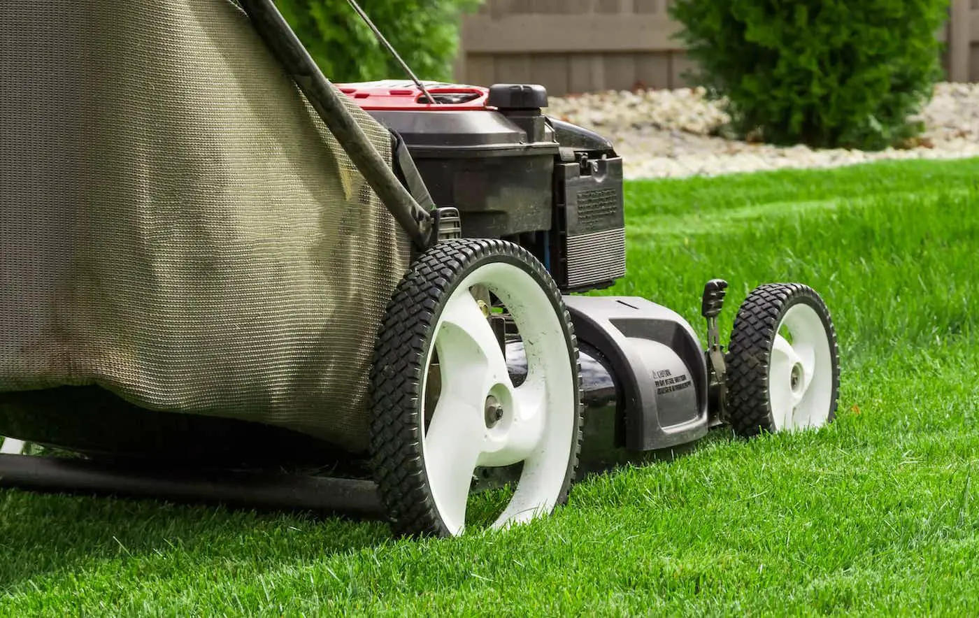 TAG Level - Lawn Mower Reviews