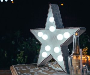 Outdoor Star Lighting - TAGLEVEL