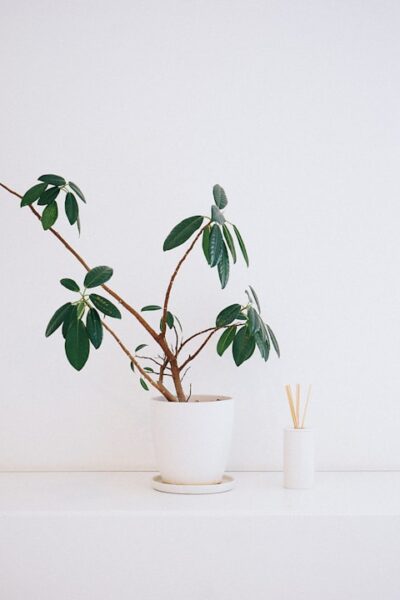 Photo Basics of Interior Designing